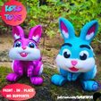 7.jpg FLEXY Sr. y Sra. conejo (PRINT-IN-PLACE)