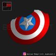 02.JPG Captain America Shield Damaged - Infinity War - Endgame-Marvel