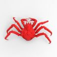 King-crab-1.jpg King crab
