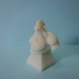 DSC01608-(2).jpg Busto de chefe guerreiro anão