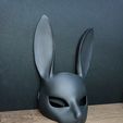 IMG_20231026_033229.jpg Bunny mask V1