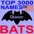 bat-us.png US Names Halloween Bat Decoration Necklace