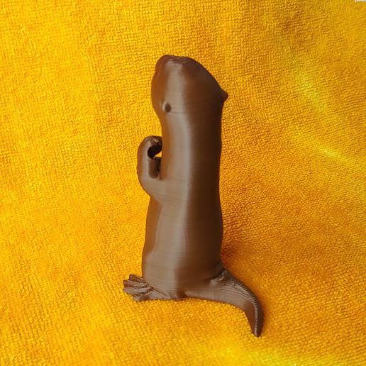 IMG_20240227_153929813_MP.jpg Держатель кабеля Otter