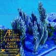 resize-cover.jpg AEATLN15 – Kelp Forest