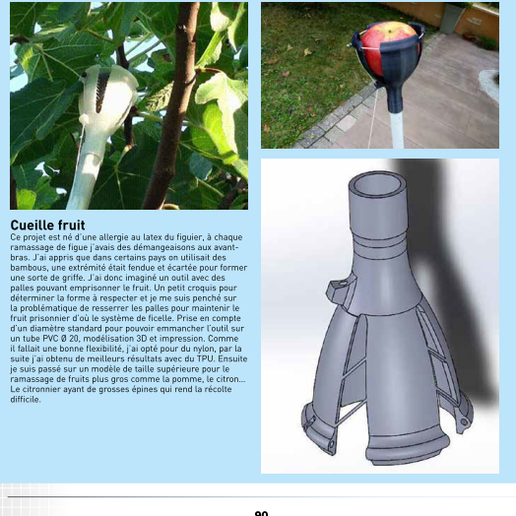 Capture.png Fig pickings