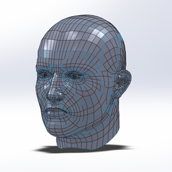 1.png Real 3D Head