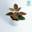 Folie4.jpg Modern Plant Pot "Diluvian" for succult planters to big pots