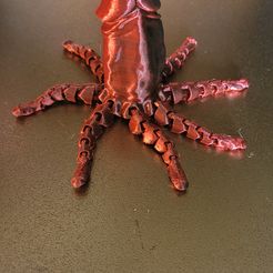 20230520_142503.jpg Fichier STL OCTOCOCK・Design imprimable en 3D à télécharger