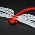 DSC_8161.jpg Flexi dragonfly