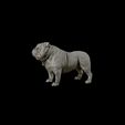 25.jpg Bulldog model 3D print model