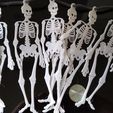 IMG_20191008_181017.jpg Skeleton Buntings