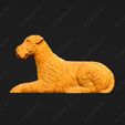 203-Airedale_Terrier_Pose_08.jpg Airedale Terrier Dog 3D Print Model Pose 08