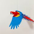 IMG_20240621_163736467.jpg Flying Macaw
