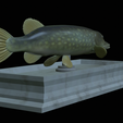 Pike-statue-11.png fish Northern pike / Esox lucius statue detailed texture for 3d printing