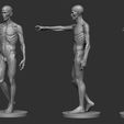 ZBrush-Document4.jpg Zombie Ecorche