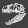 Screenshot-44.png Allosaurus dinosaur skull