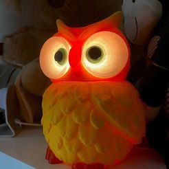 Pic0.jpg Free STL file Multi Coloured Owl Lights for NeoPixel Lights・3D printable design to download, micah7