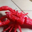 picture (7).jpg Lobster marionette