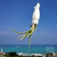 squid.jpeg STL file Squid Air Plant Holder (FDM & SLA)・3D printing idea to download