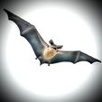 BAT-3D-PRINT-1.jpeg BAT FLYING