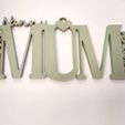 1000006902.jpg Mothers day wall sign