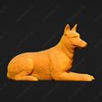 1727-Belgian_Shepherd_Dog_Malinois_Pose_09.jpg Belgian Shepherd Dog Malinois Dog 3D Print Model Pose 09