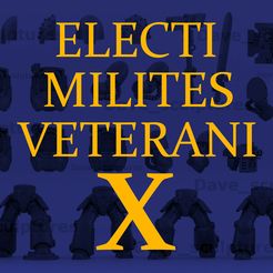 electi-milites-veterani_overlay_4.jpg 3D file Electi Milites Veterani X - Presupported・3D printing model to download
