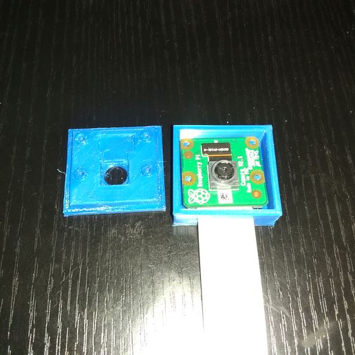 260.jpg R.Pi v2.1 Camera Case