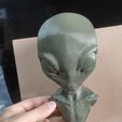 WhatsApp-Image-2022-03-02-at-05.03.13-1.jpeg GREY ALIEN BUST MODEL