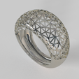 anillos.344.png Eleganter Ring