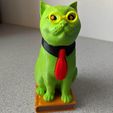 Murphy The Library Cat (with secret book box) -Single Material Package (Complete Single Material Model)