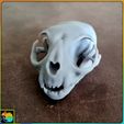 cat6.jpg Cat Skull