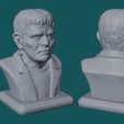 Busto-de-Frankenstein_1.jpg Büste von Frankenstein