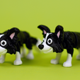 Remb-Studios-Flexi-Border-Collie-Picture-5.png Flexi Border Collie | Print-in-place | No Support