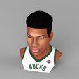 untitled.1943.jpg Giannis Antetokounmpo bust ready for full color 3D printing