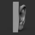 front.jpg EAR FOR ARTIST - Anatomy and Fine Arts studies -