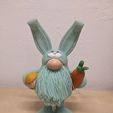 Easter Hairy Gnome with a bunny costume