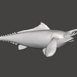 Screenshot_1.png Sapi fish saleman 3D model