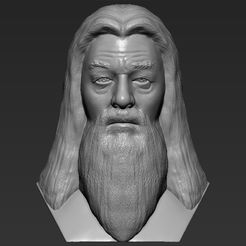 1.jpg Fichier 3D Dumbledore de Harry Potter buste impression 3D prêt stl obj・Design pour imprimante 3D à télécharger