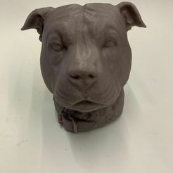 9c2872f2-c118-408d-bcfb-0f664063b36b.jpg Descargar archivo STL cabeza de stafforshire bull terrier staffy pitbull dog • Plan imprimible en 3D, vadi