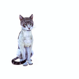 h.png CAT - DOWNLOAD CAT 3d model - animated for blender-fbx-unity-maya-unreal-c4d-3ds max - 3D printing CAT CAT - POKÉMON - FELINE - LION - TIGER