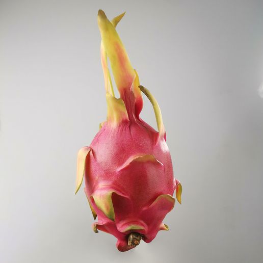 Dragon fruit-Pitaya（generated by revopoint pop） 3D model