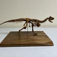 received_1162280208131977.jpeg Carnotosaurus skeleton