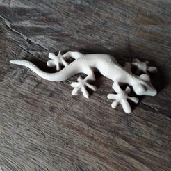 salamandre.jpg STL-Datei salamander pendant・3D-druckbare Vorlage zum herunterladen