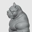 Captura-de-tela-2026-03-05-234332.png Pitbull Torcedor do Futebol BOTAFOGO