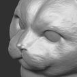 15.jpg British Shorthair cat head for 3D printing