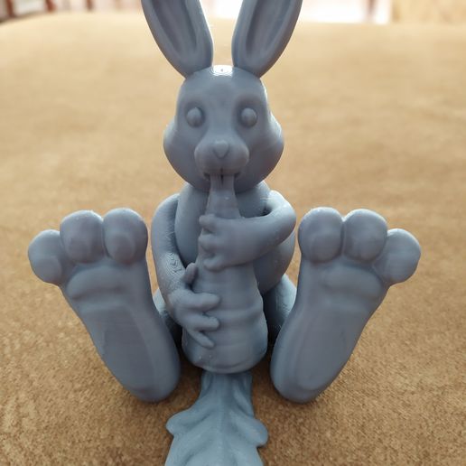 IMG_20201114_140917.jpg Кролик Игрушка прожорливый кролик