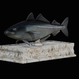 coalfish-statue-box-1-2.png fish coalfish / Pollachius virens with storage space / for 3d printing