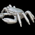 Capture-d’écran-2023-07-06-à-10.34.33.png crab