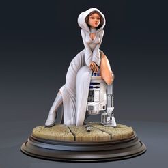 2.jpg Star Leia